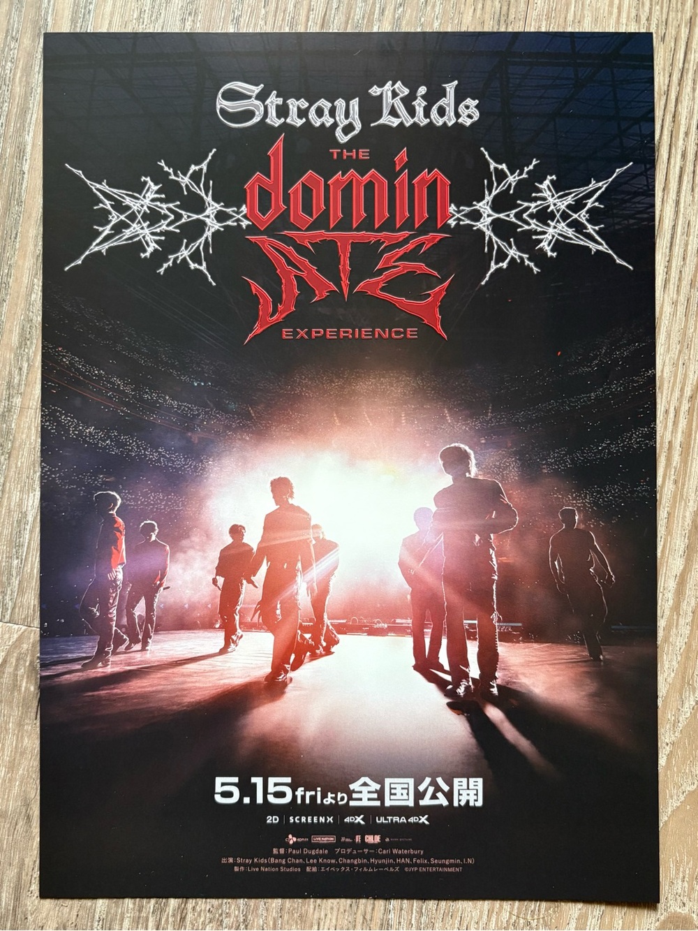 Stray Kids DominATE Experience Small Japan Movie Poster Kpop Concert
